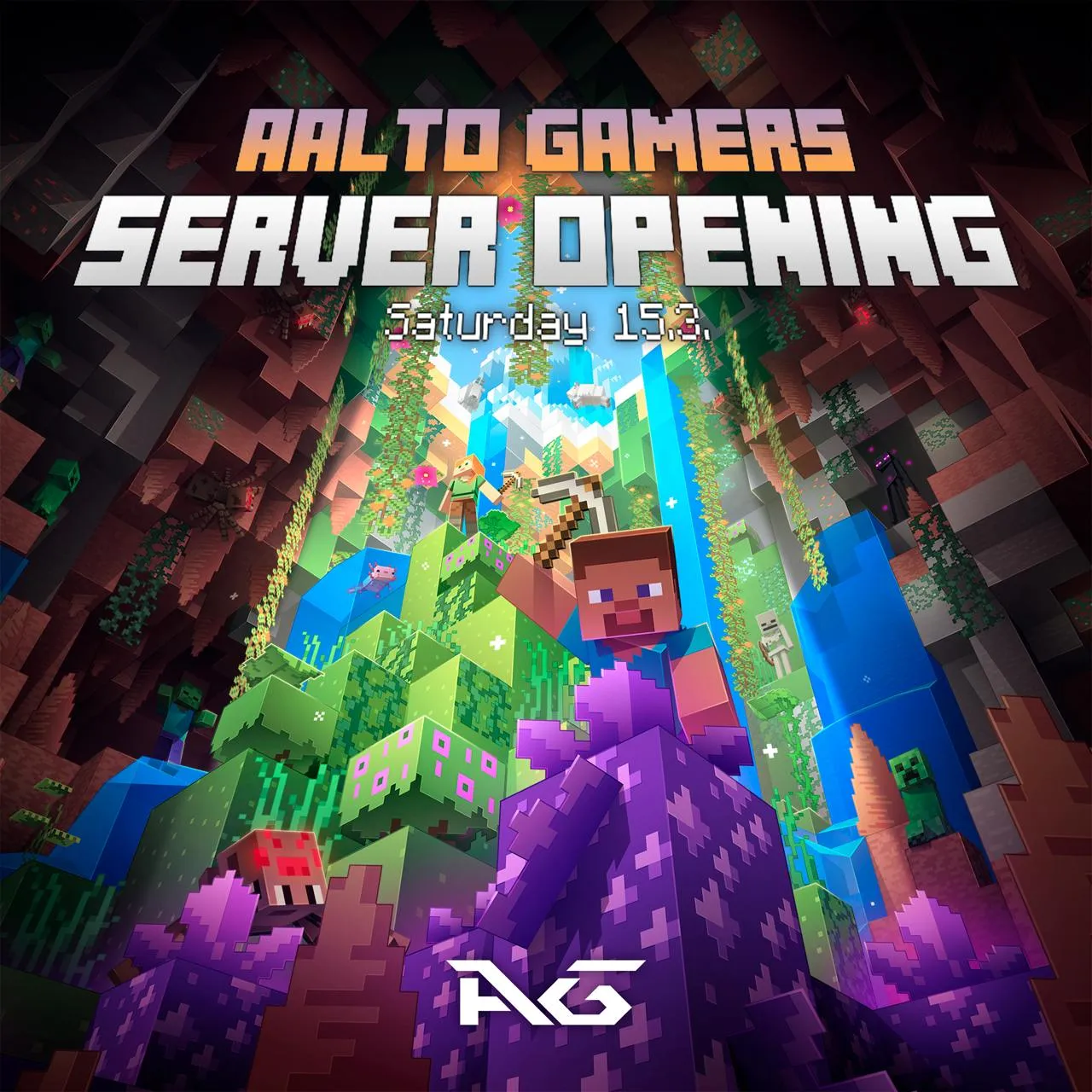 Minecraft Server Opening